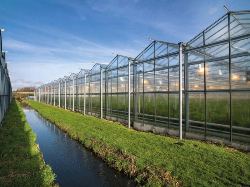 Kassen met glazen gevels en betonnen funderingselementen